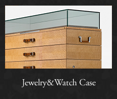 Jewelry & Watch Case